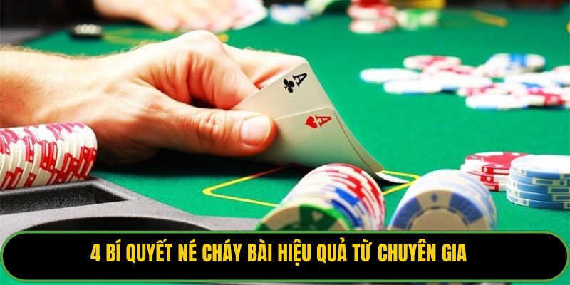 4 bí quyết né cháy bài hiệu quả từ chuyên gia.