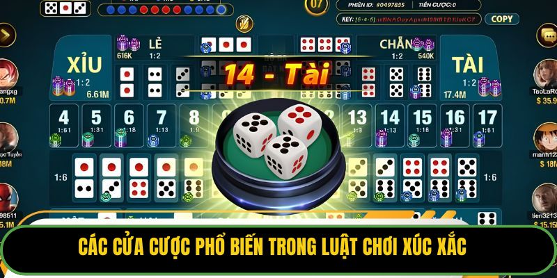 Các cửa cược phổ biến trong luật chơi xúc xắc.