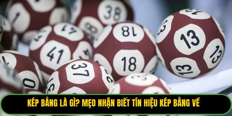 Kép Bằng Là Gì