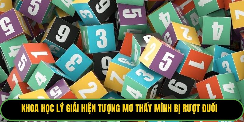 Khoa học lý giải hiện tượng mơ thấy mình bị rượt đuổi.
