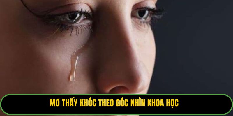 Mơ thấy khóc theo góc nhìn khoa học.